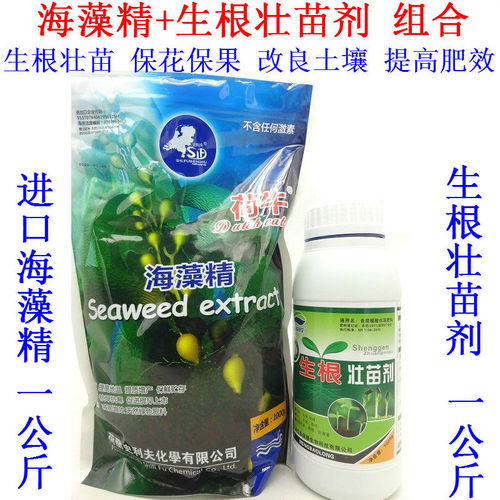 绿色农业新选择 天然海藻精肥料助力果蔬增产增效