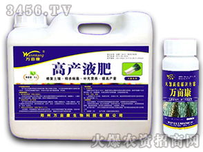 大葱专用叶面肥 让每一株葱都挺拔葱翠的秘密武器